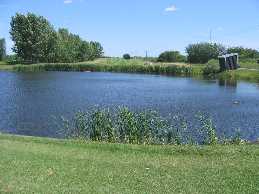 Green Acres Golf Course 8th Fairway