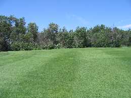 Green Acres Golf Course 9th Green